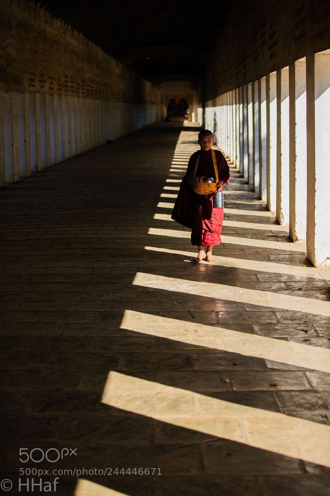 Canon EOS-1D X sample photo. Cgr photography