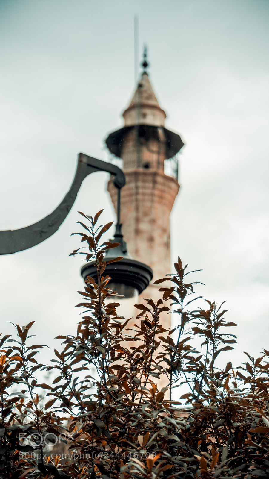Sony a6300 sample photo. Mosque photography