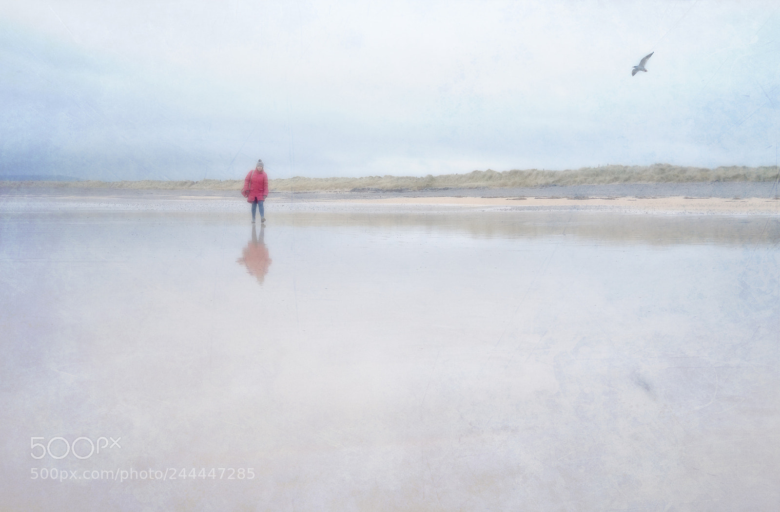Fujifilm X-T2 sample photo. Lone on the beach photography