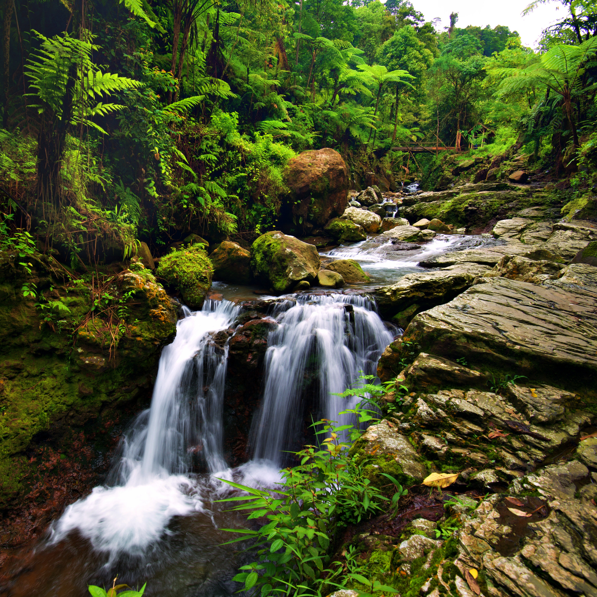 Nikon D750 + Nikon AF-S Nikkor 16-35mm F4G ED VR sample photo. Curug pangeran, indonesia photography