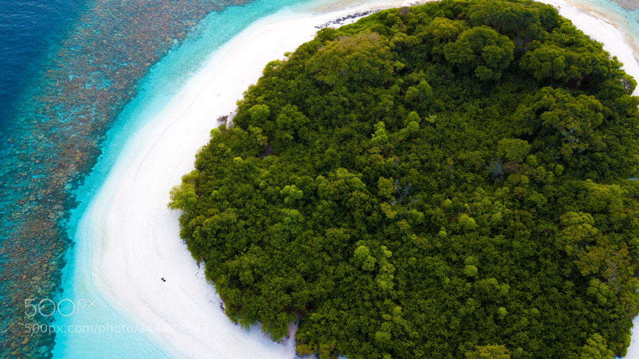 DJI FC220 sample photo. The island from birds photography