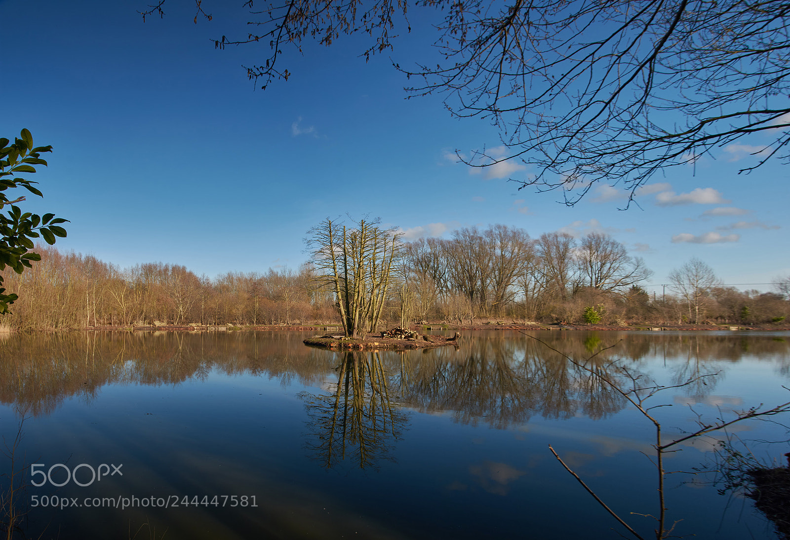 Nikon D7200 sample photo. Winter blue skies photography