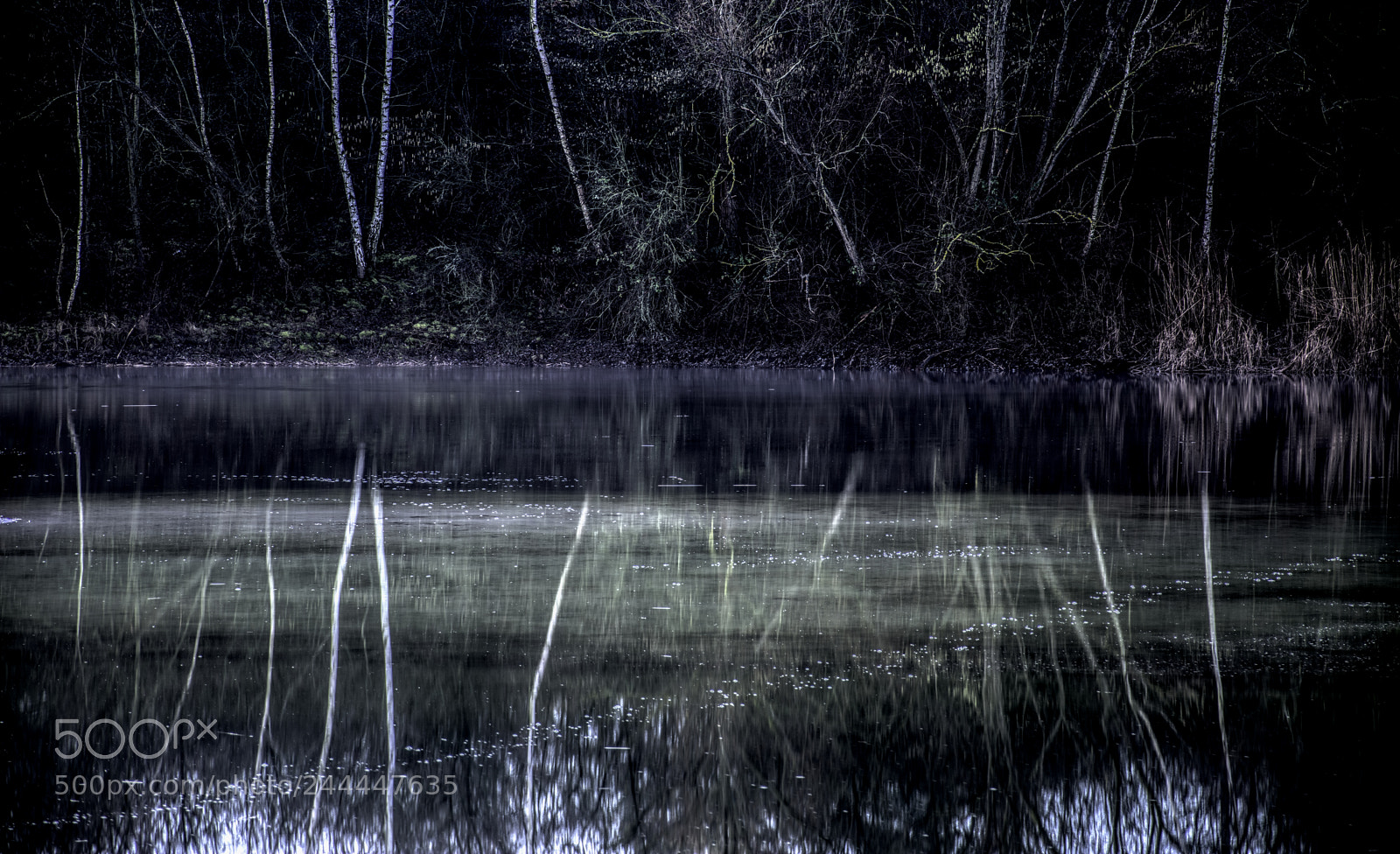 Nikon D7100 sample photo. Pond19 photography