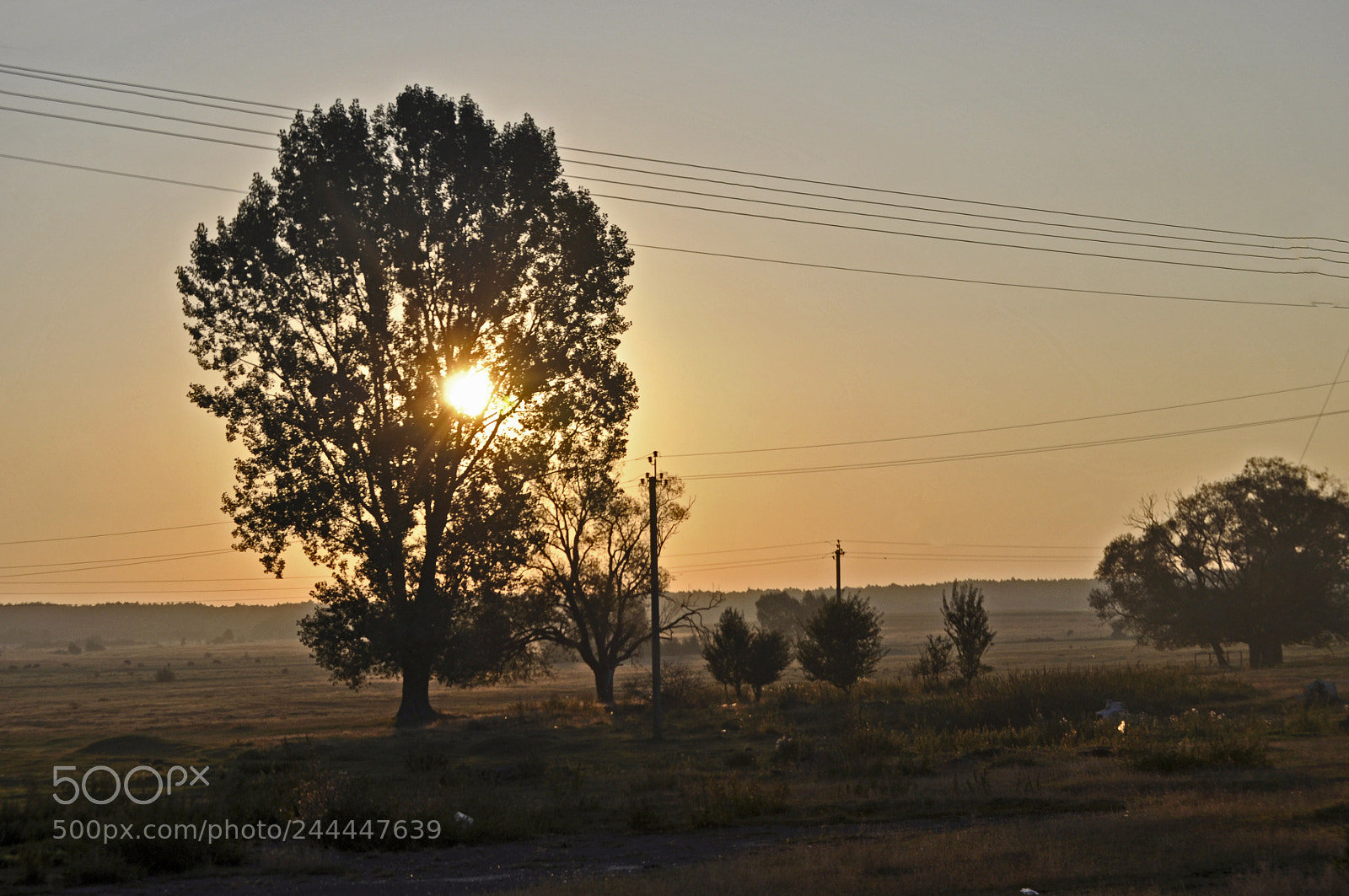 Nikon D5000 sample photo. Ukrania photography