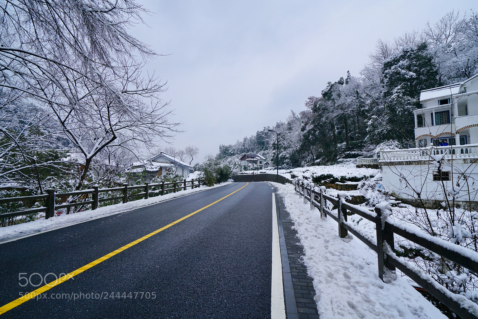 Sony a7R II sample photo. The first snow of photography