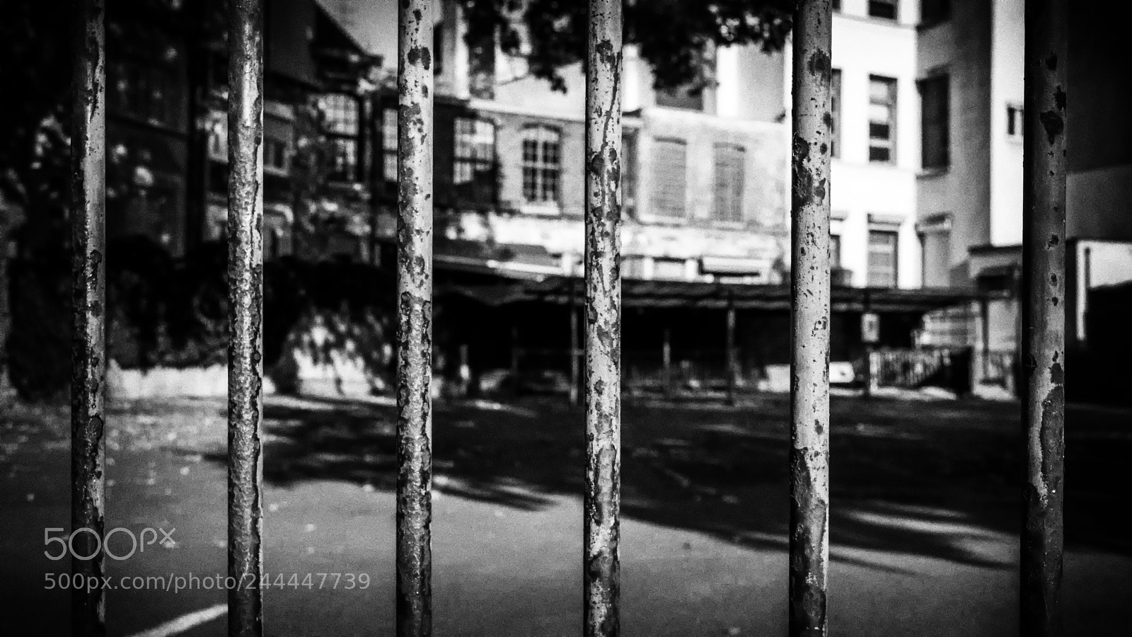 Nikon D3200 sample photo. Behind bars photography