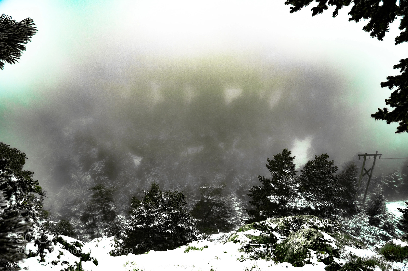 Nikon D3400 sample photo. Heavy snow photography
