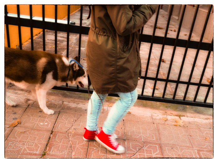 Olympus OM-D E-M1 Mark II sample photo. . photography