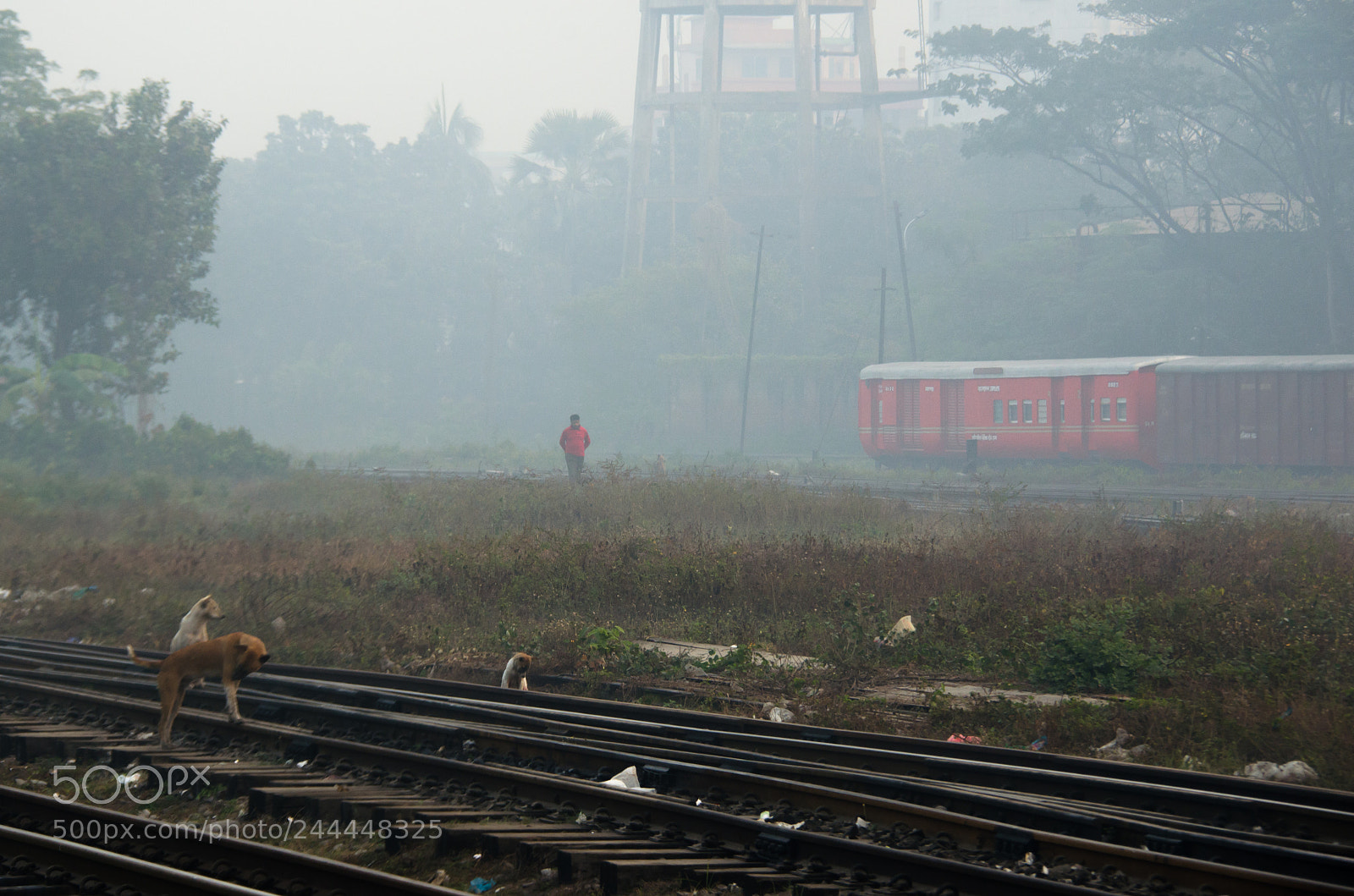 Nikon D5100 sample photo. December morning photography