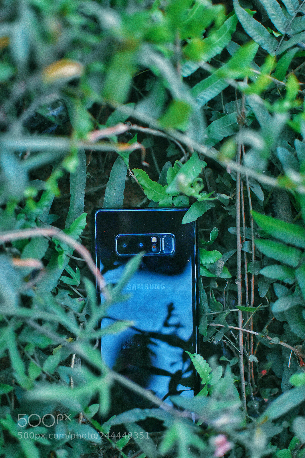 Nikon D3400 sample photo. Note 8 photography