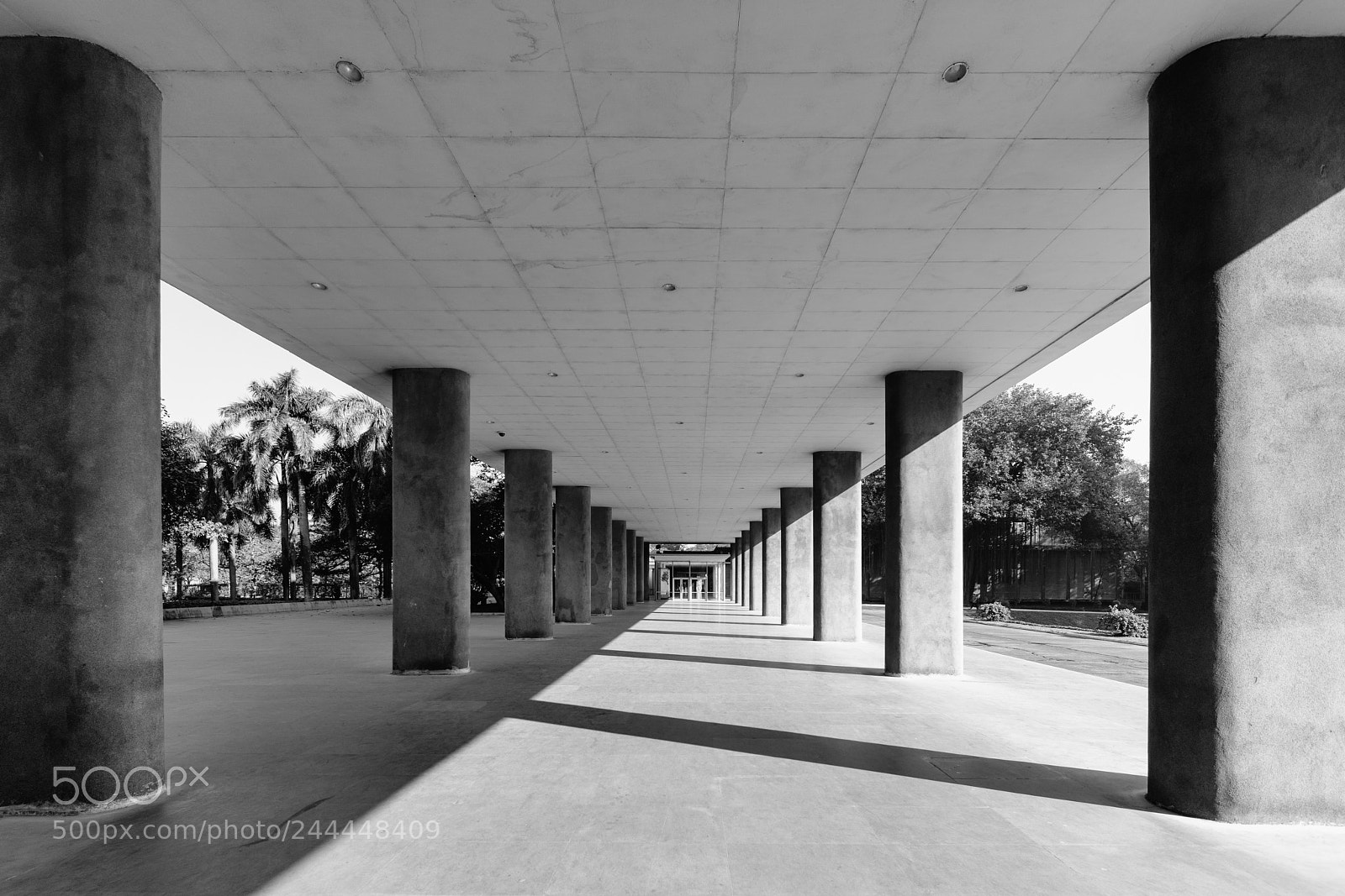Sony a7R III sample photo. Shadows from the indian photography