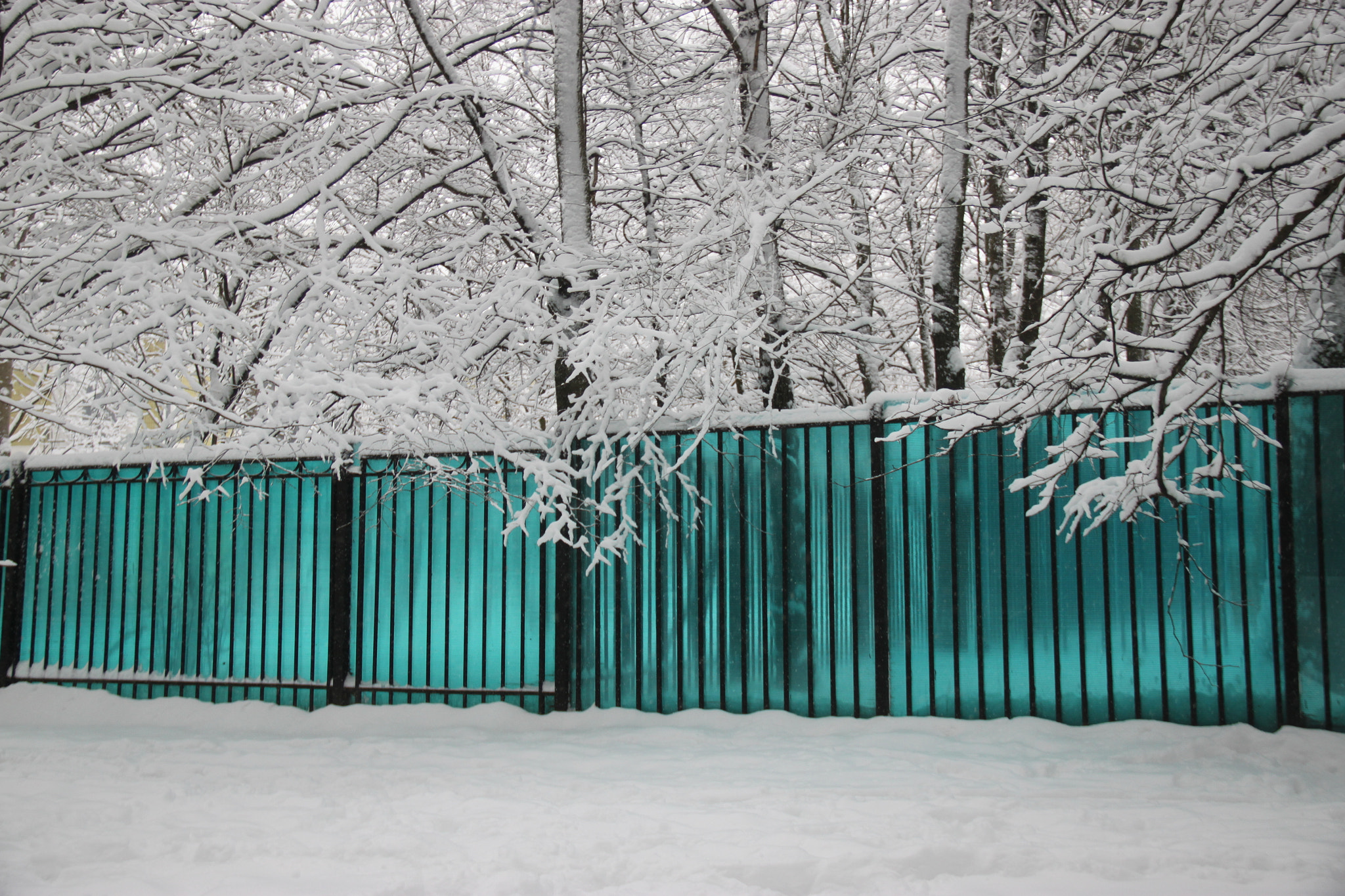 Canon EF-S 18-135mm F3.5-5.6 IS sample photo. Green wall in white snow photography