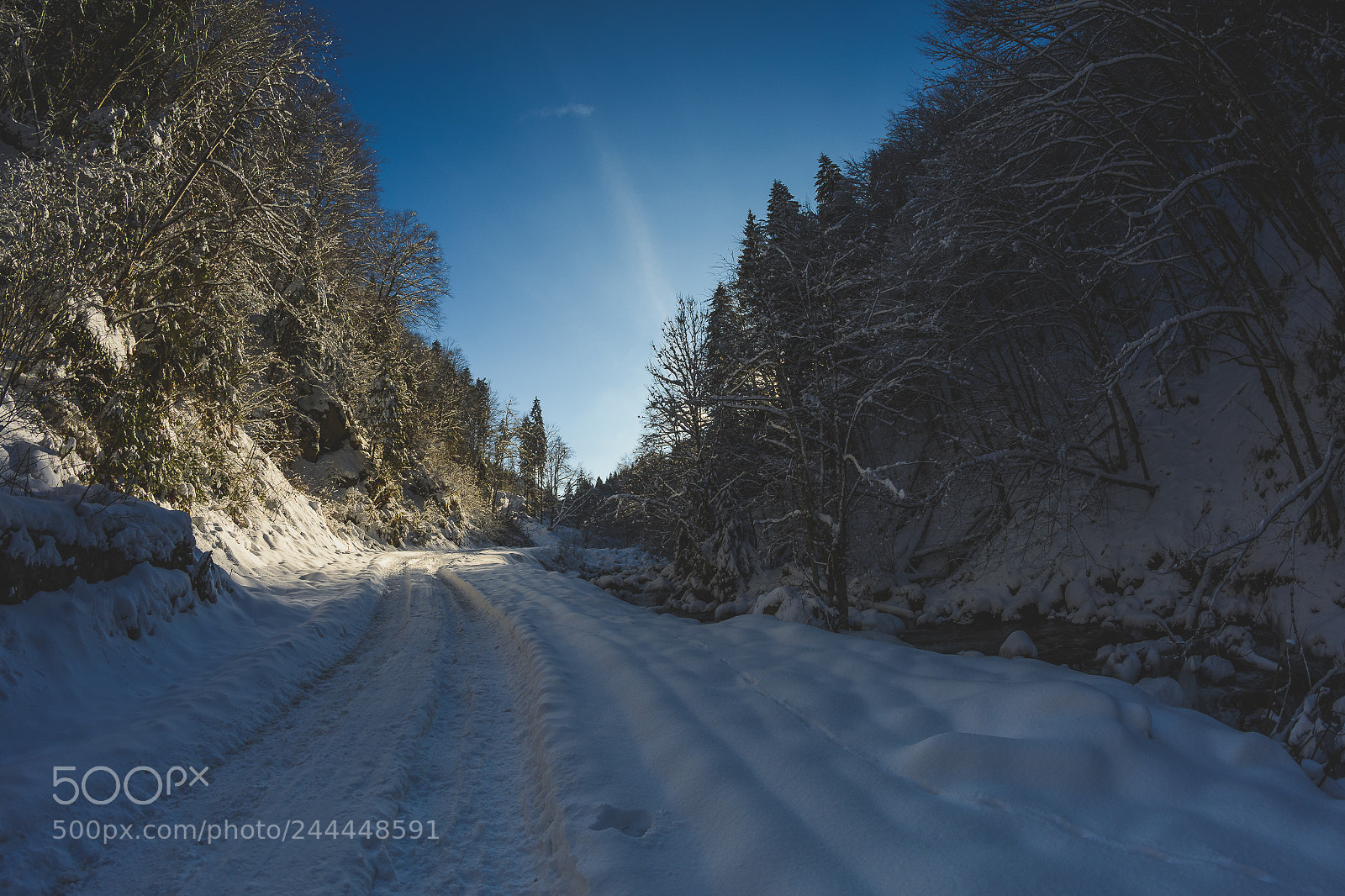 Nikon D7100 sample photo. Januar photography