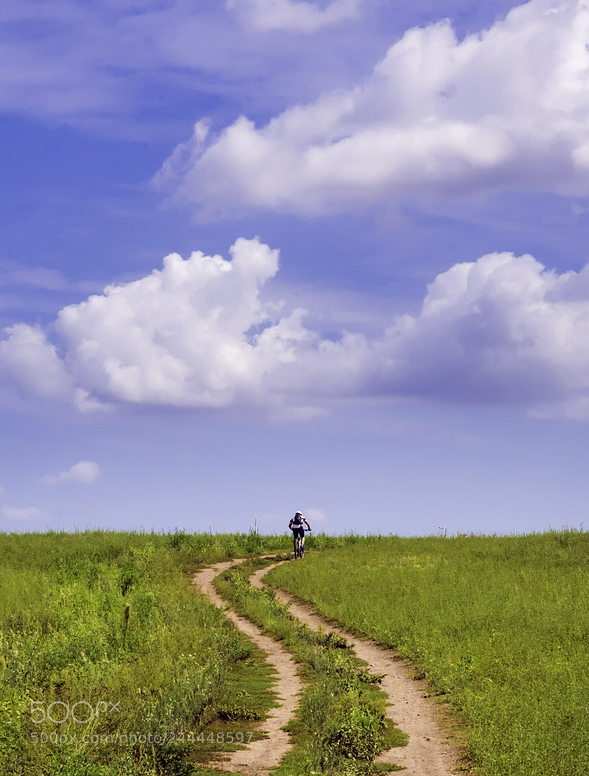 Nikon D610 sample photo. The bicyclist photography