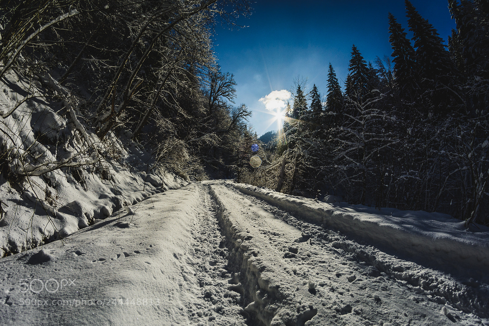 Nikon D7100 sample photo. Januar photography
