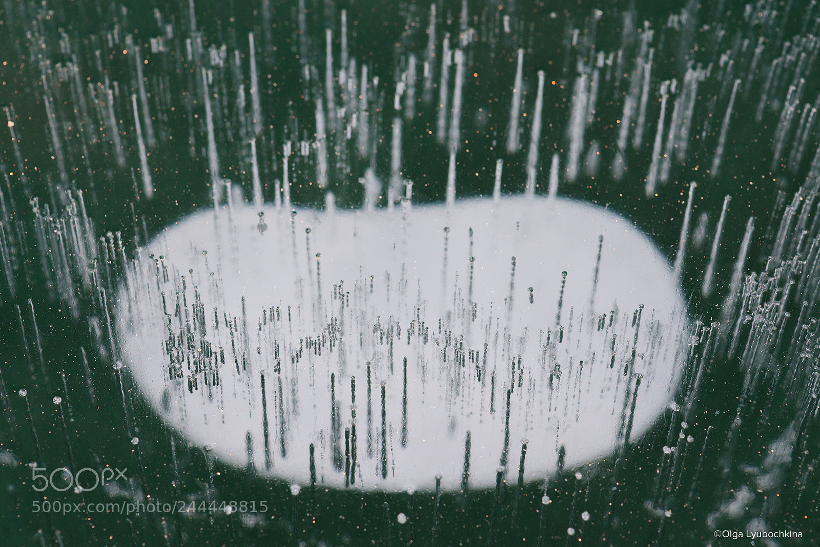 Nikon D800 sample photo. The pattern in the photography