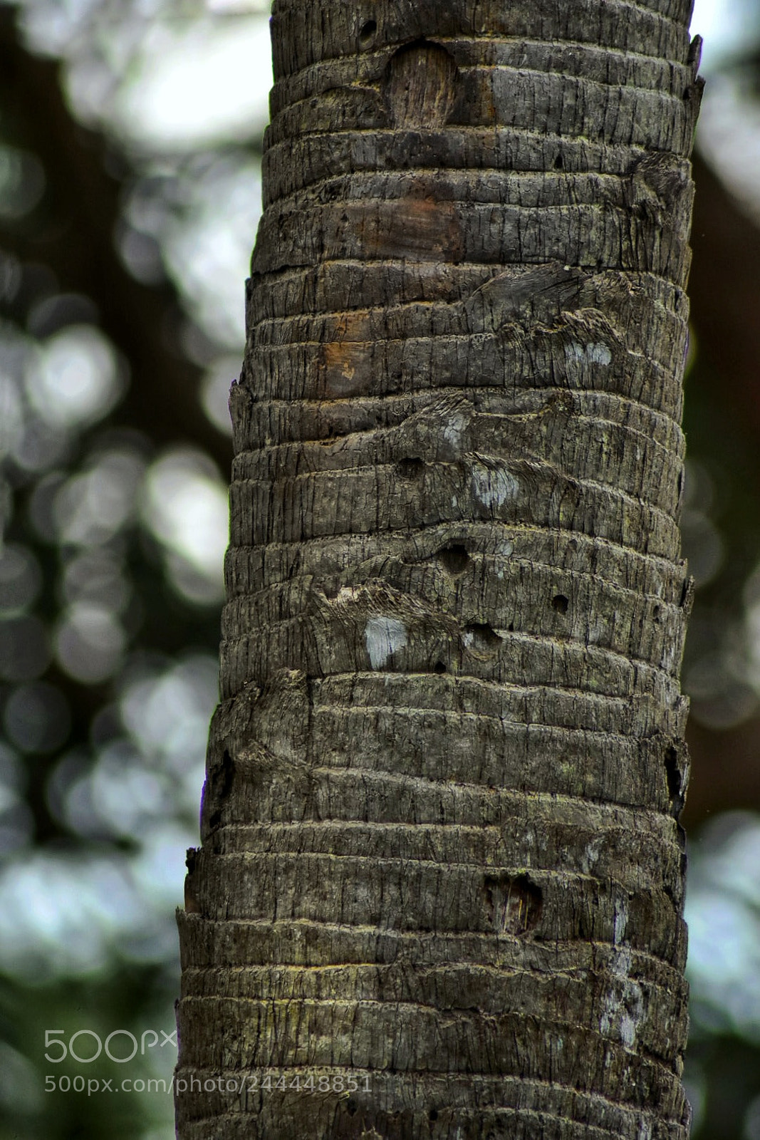Nikon D3400 sample photo. Untitled photography