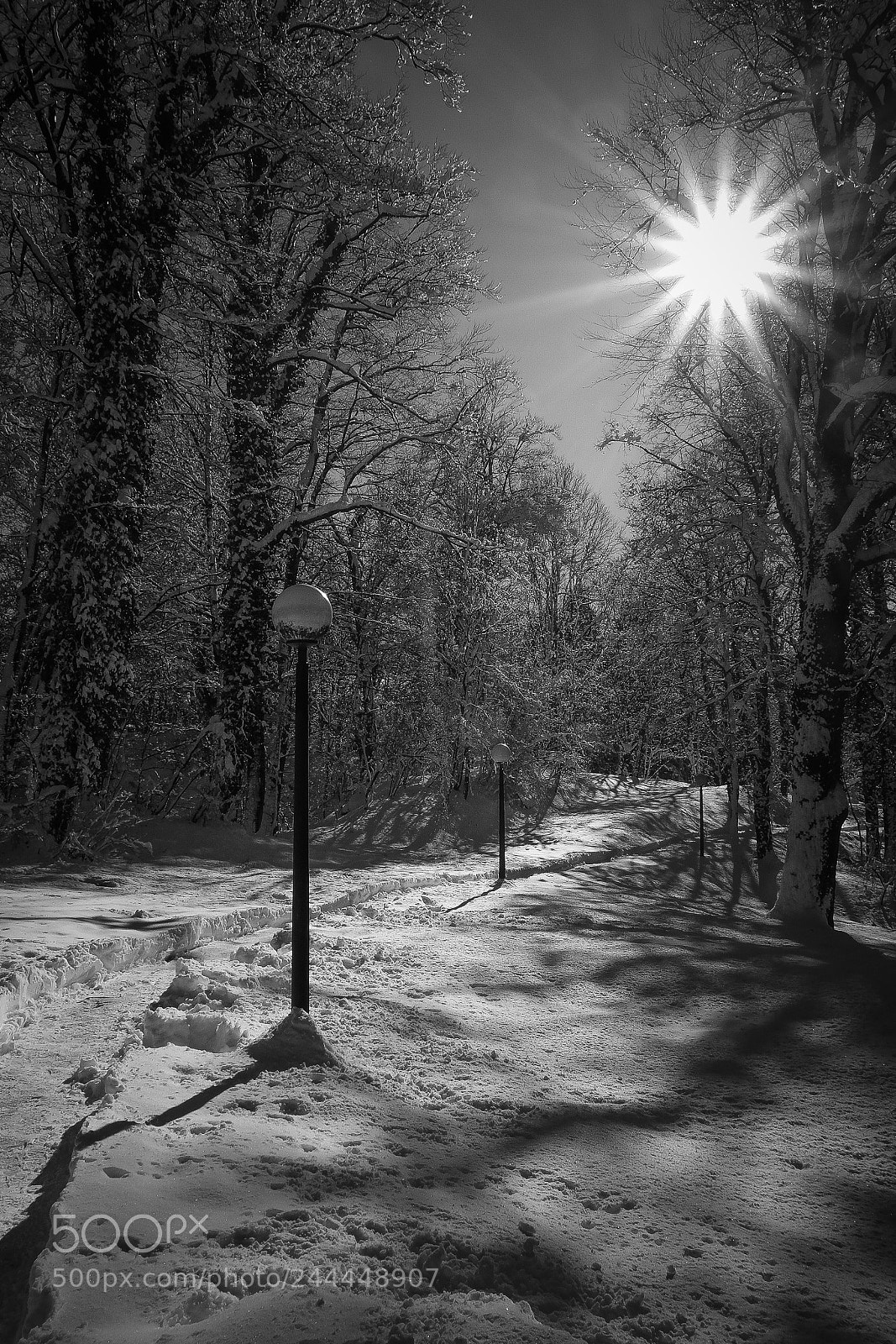 Fujifilm X-T10 sample photo. Snow path photography