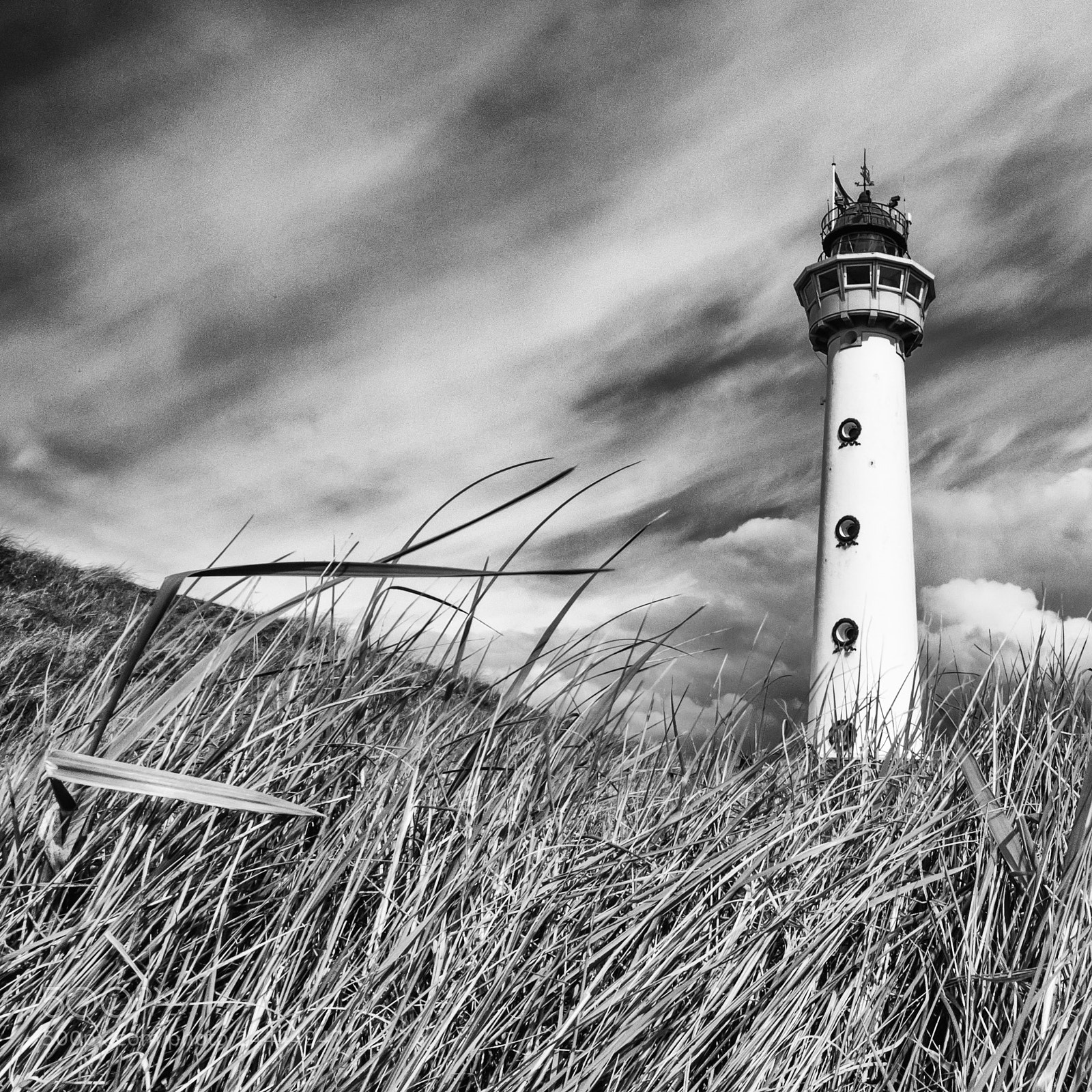 Nikon D5100 sample photo. Lord of the coast photography