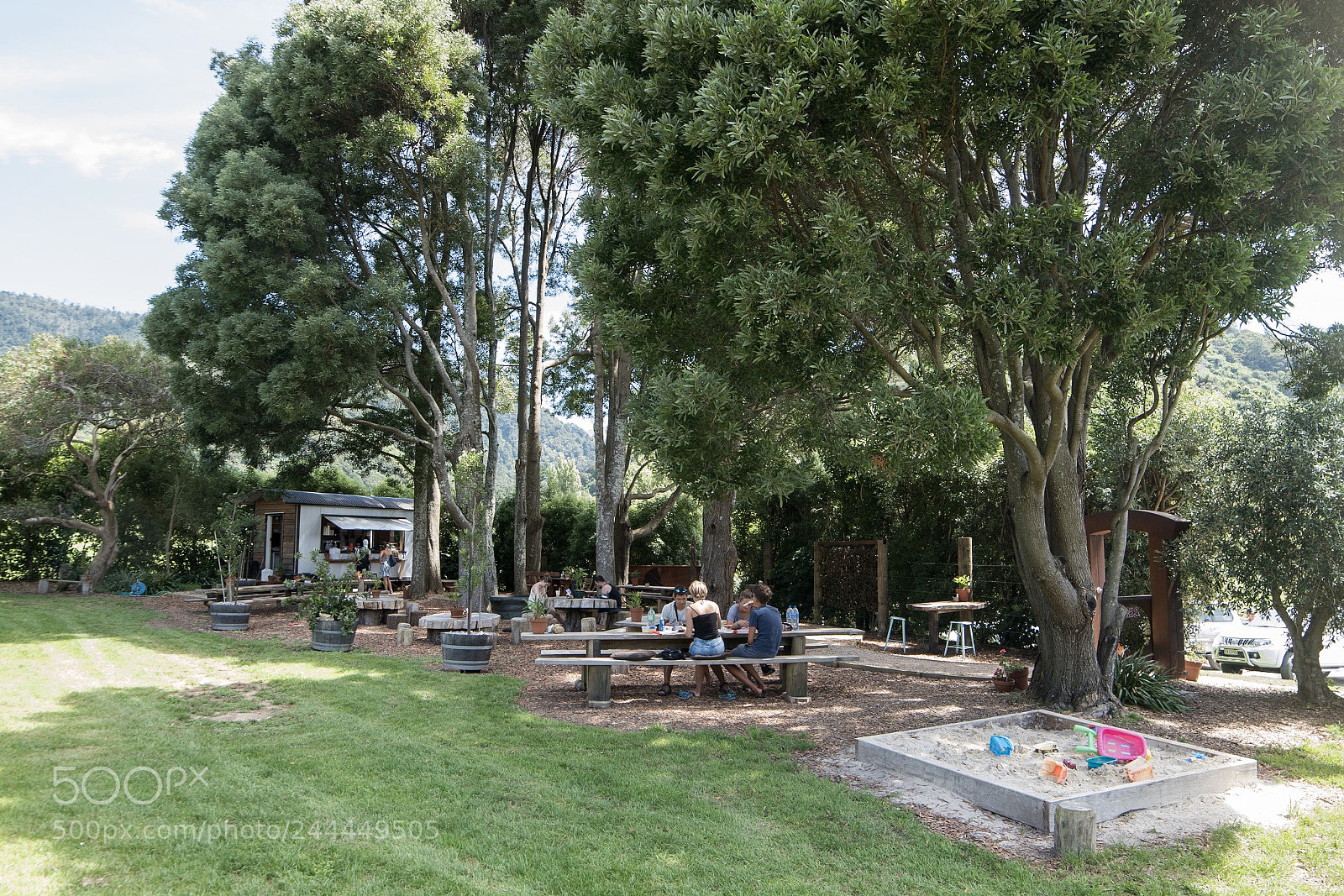 Nikon D500 sample photo. Café, wainui falls carpark photography
