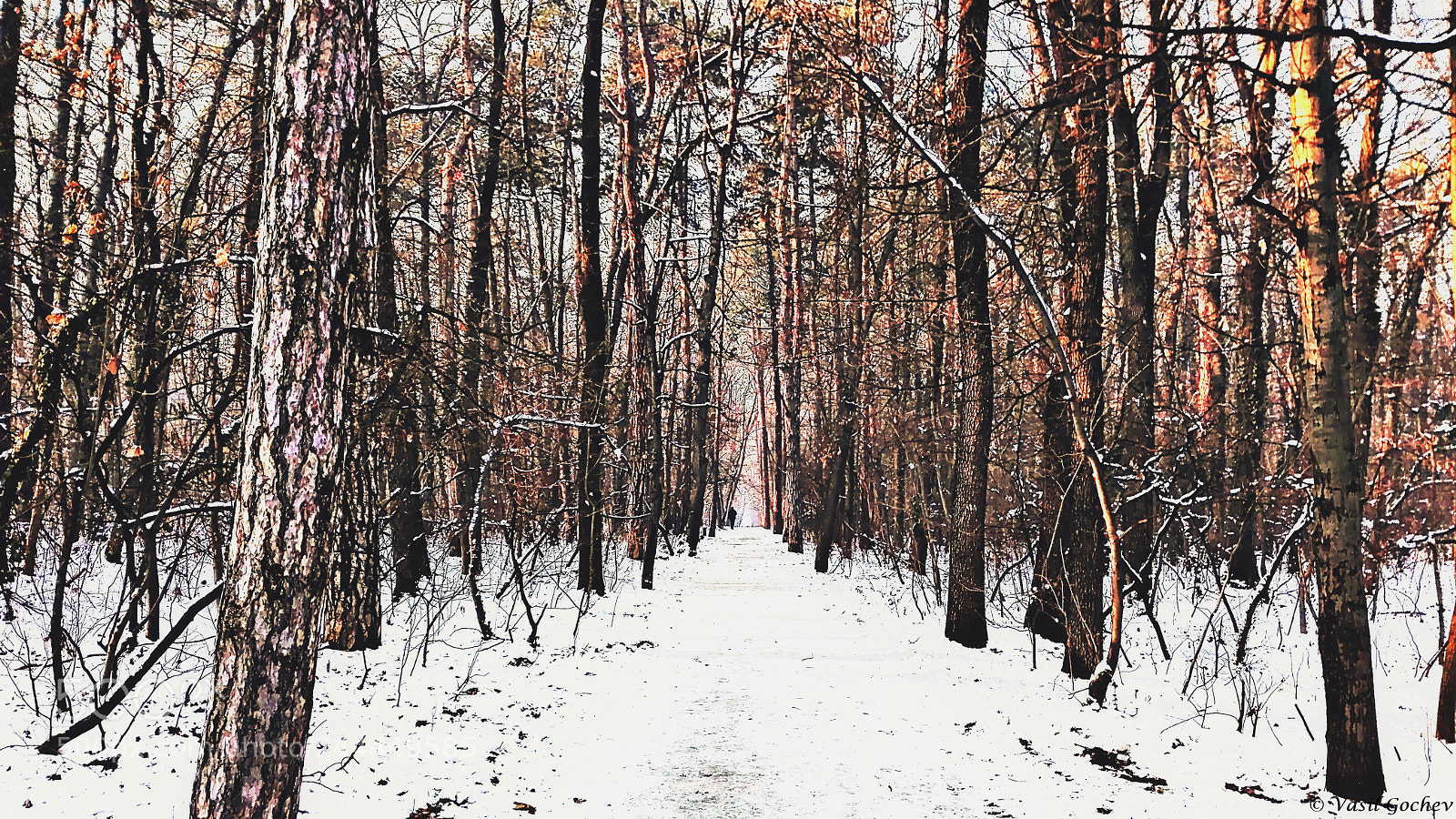 HUAWEI Y6II sample photo. Hdr winter park photography