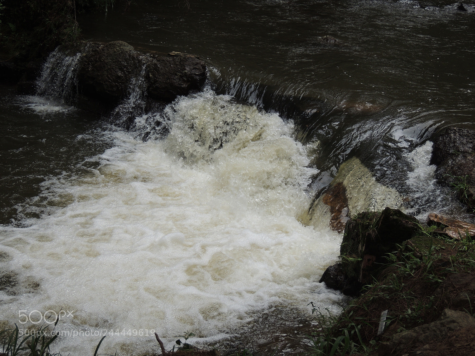 Nikon Coolpix P510 sample photo. Viva a natureza photography
