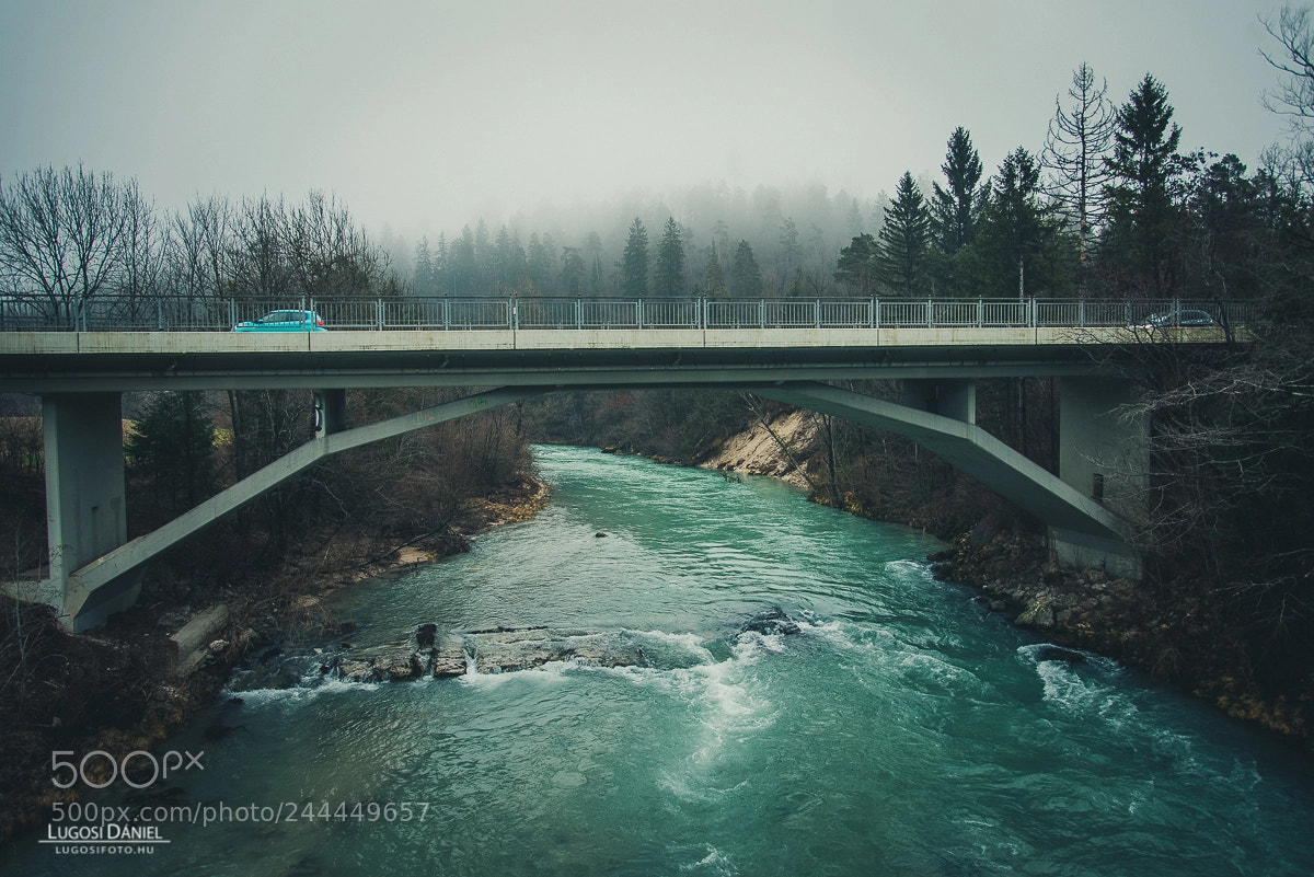 Nikon D610 sample photo. Near bled photography