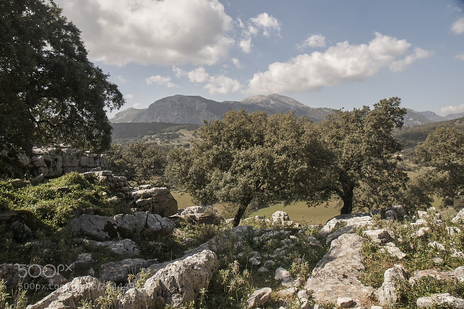 Sony Alpha DSLR-A700 sample photo. Sierra de grazalema photography