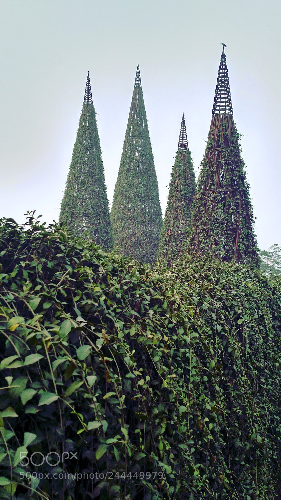 Xiaomi Redmi 3S sample photo. Foggy morning photography