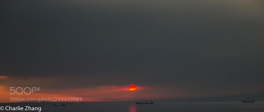 Canon EOS-1D X sample photo. Untitled photography