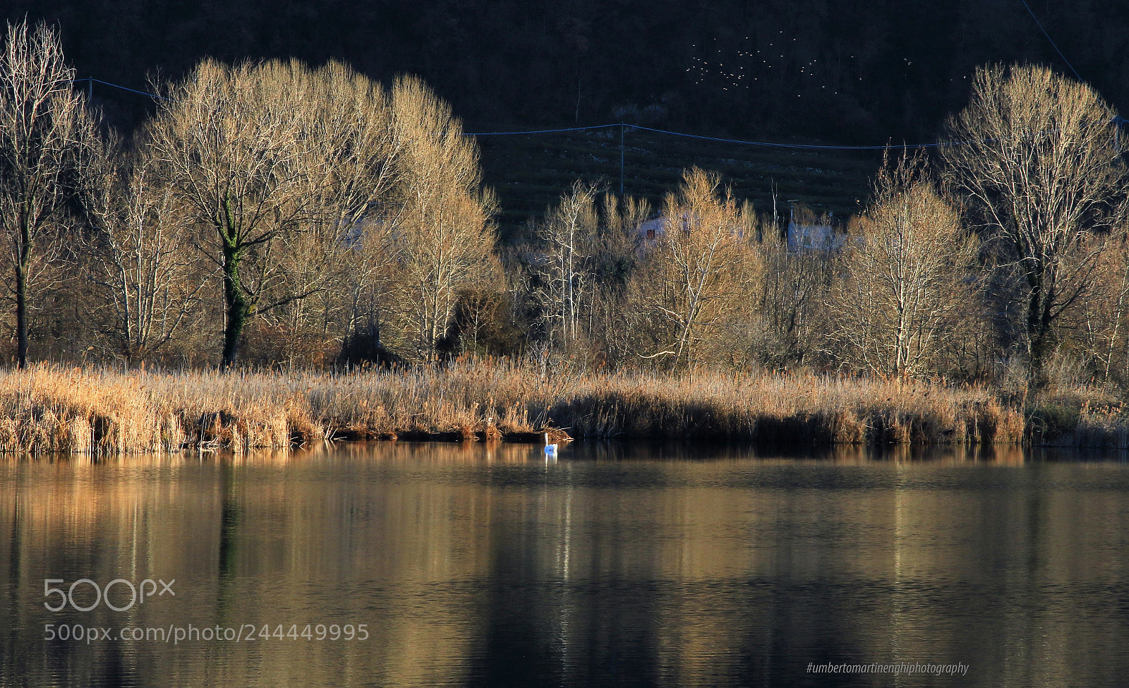 Canon EOS 7D Mark II sample photo. Winter reflections at torbiere photography