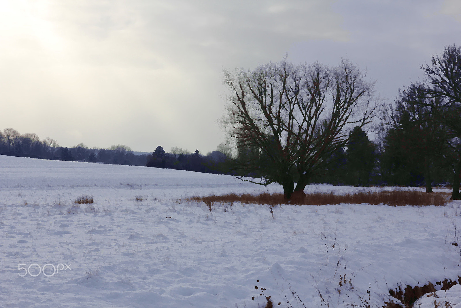 Canon EOS 60D sample photo. Winter tree (oil painting style) photography