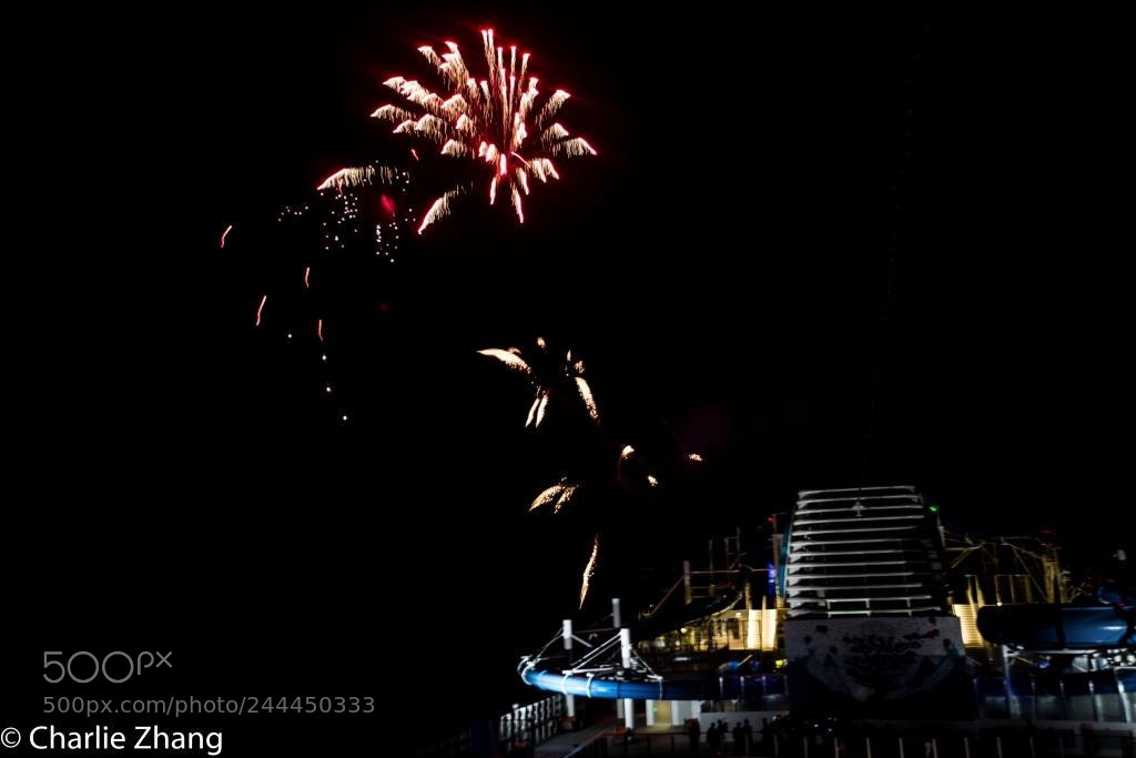 Canon EOS-1D X sample photo. Untitled photography