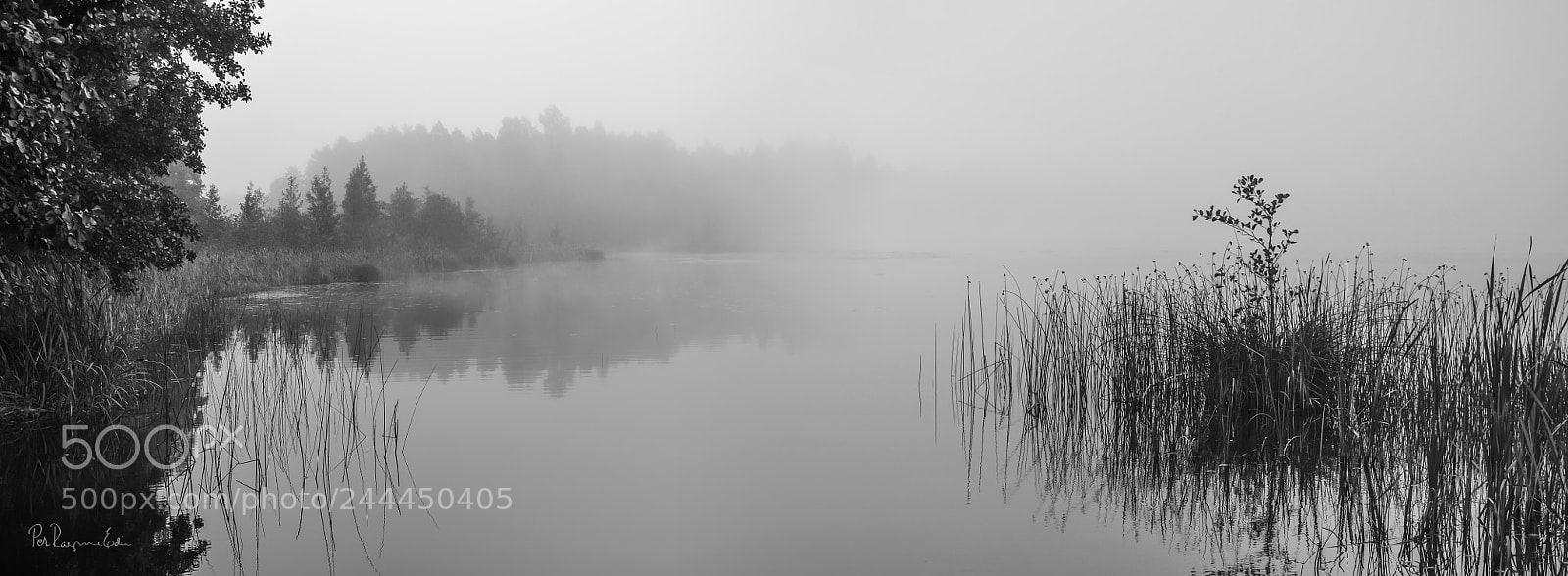 Nikon D5100 sample photo. Misty morning photography