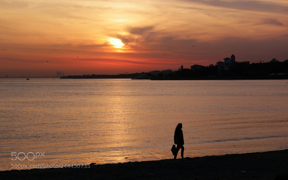 Samsung NX1 sample photo. ... photography
