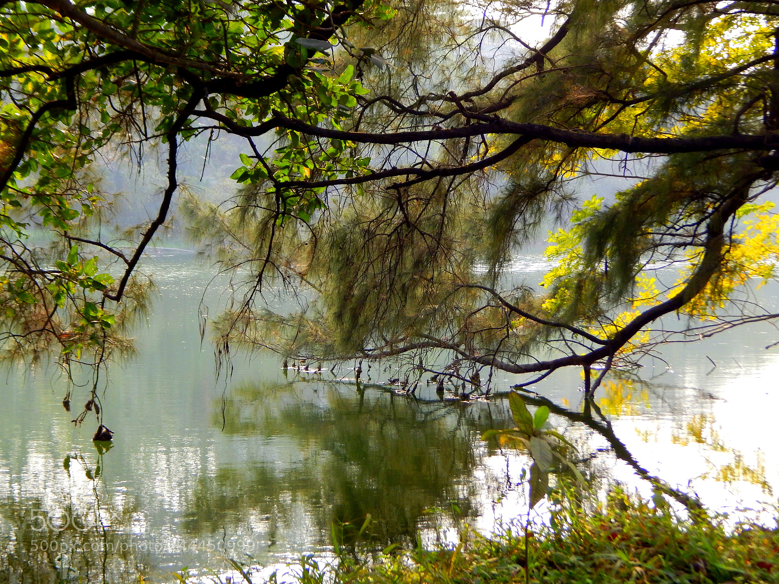 Nikon Coolpix L820 sample photo. Reflection photography