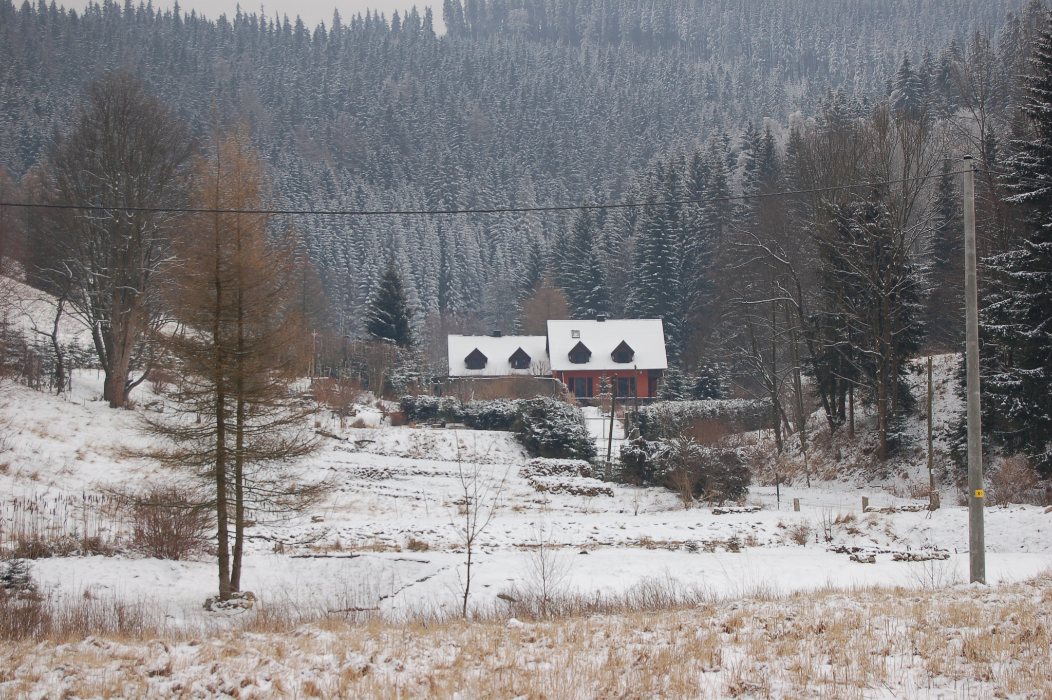 Nikon D50 sample photo. Winter scenery photography