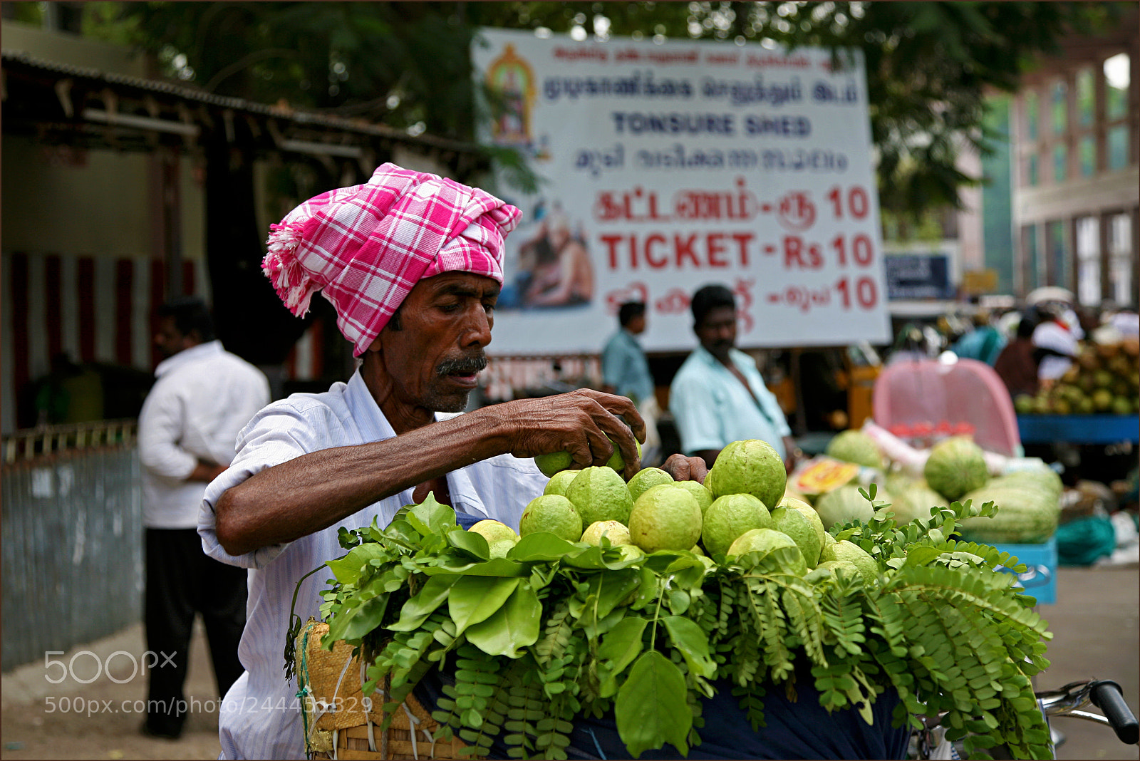 Canon EOS 5D sample photo. Guava seller photography