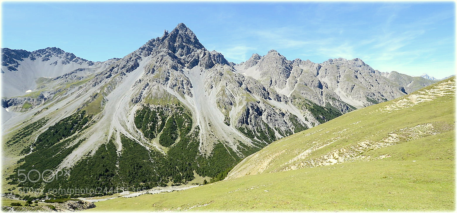 Nikon D800 sample photo. "park-national;piz dataint,;" photography