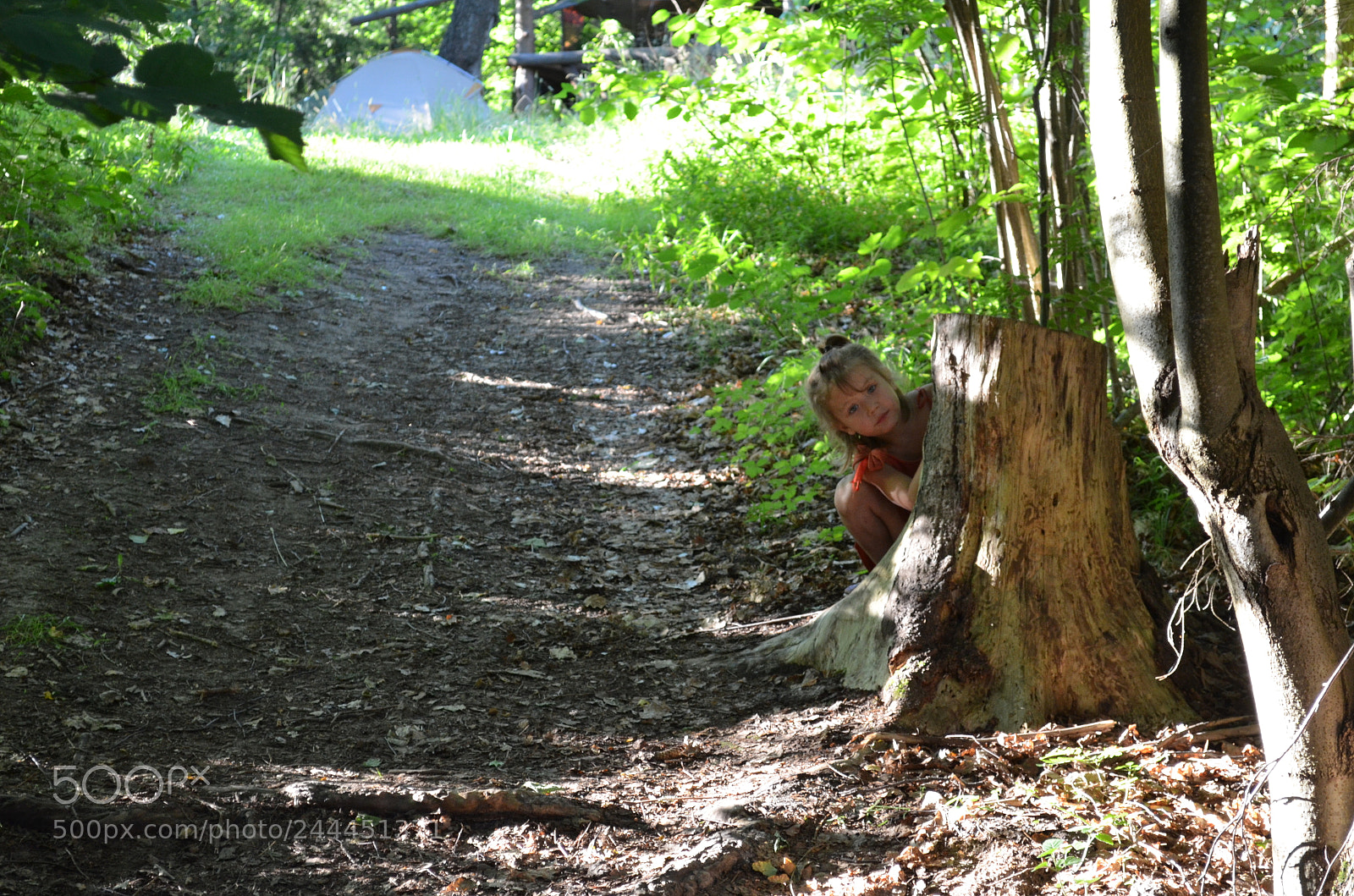 Nikon D5100 sample photo. Untitled photography