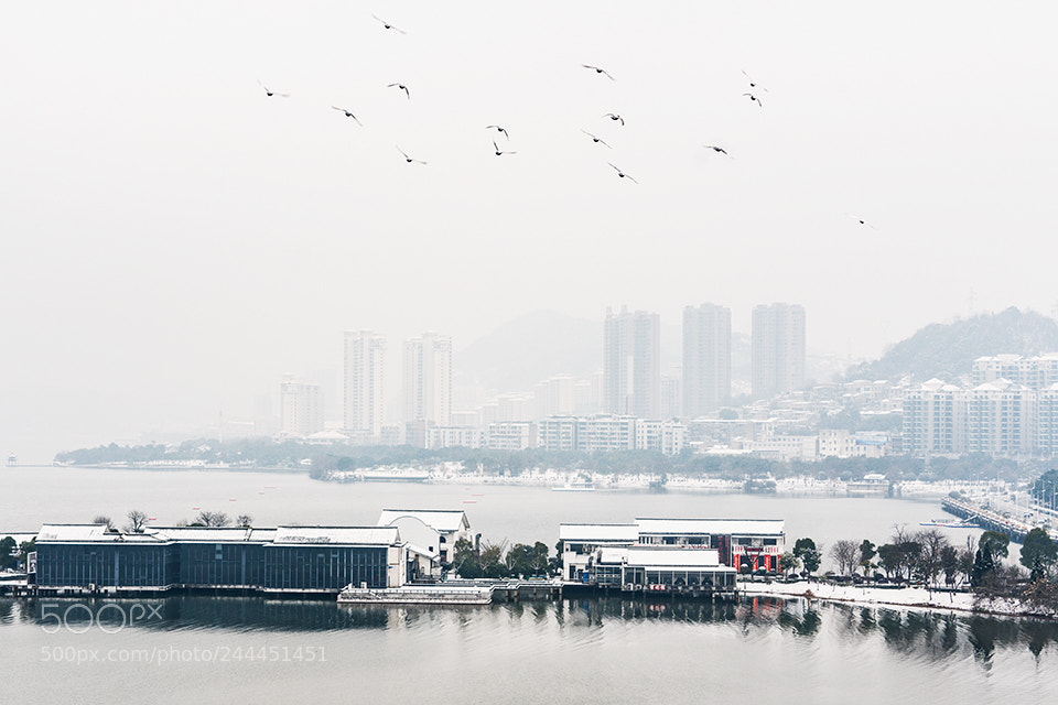 Sony a7R II sample photo. Untitled photography