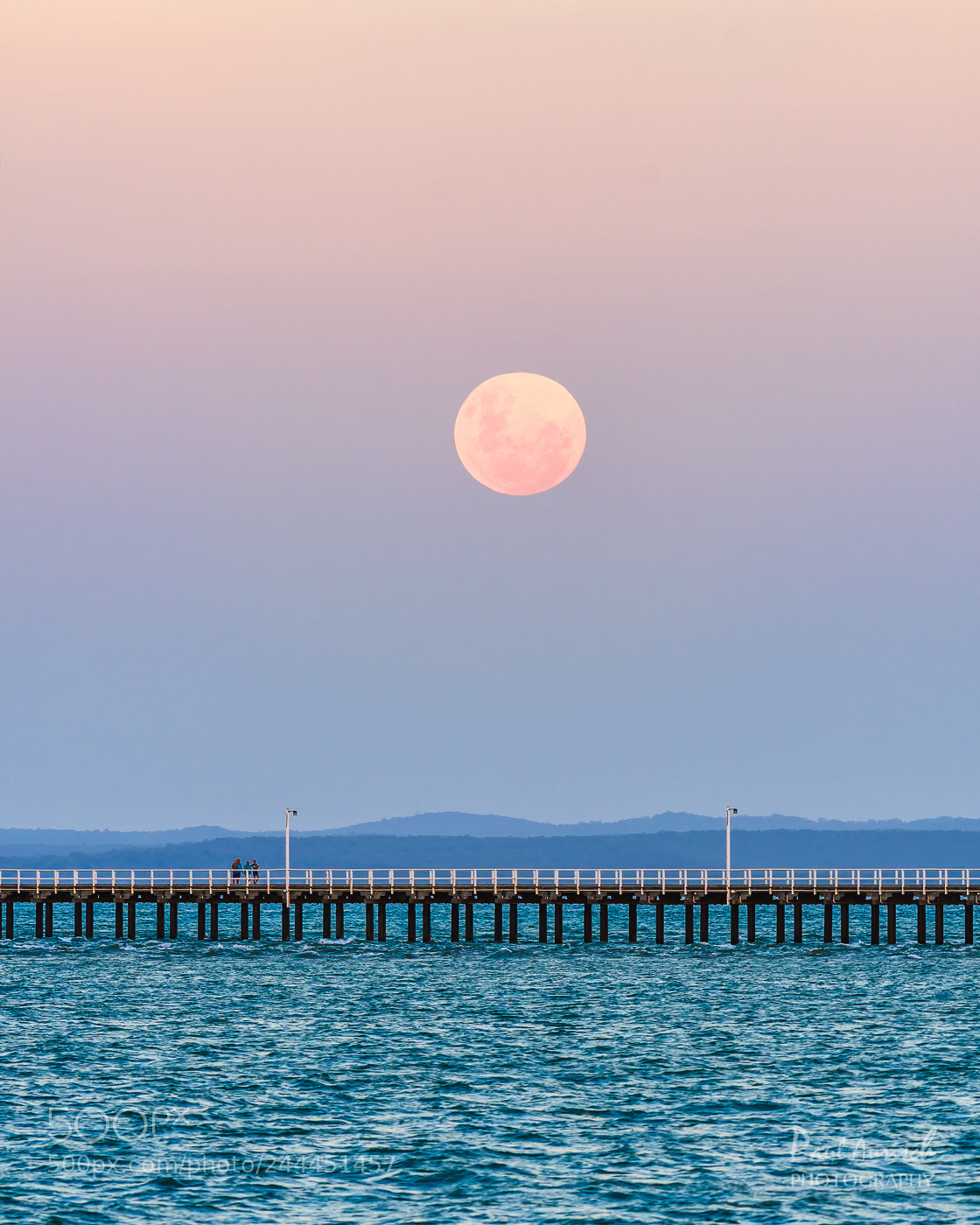 Nikon D500 sample photo. Super blue blood moon photography