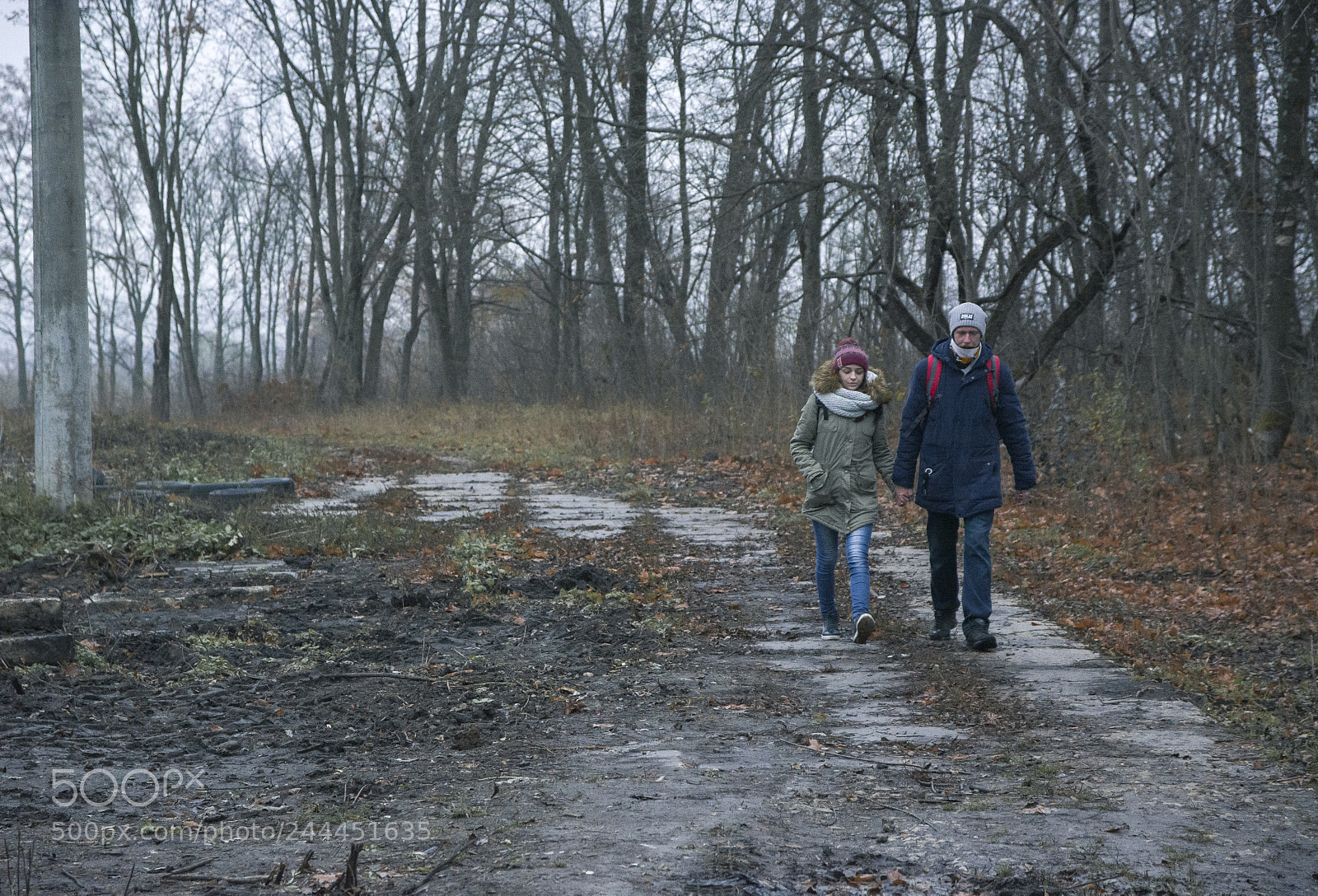 Nikon D7100 sample photo. Untitled photography