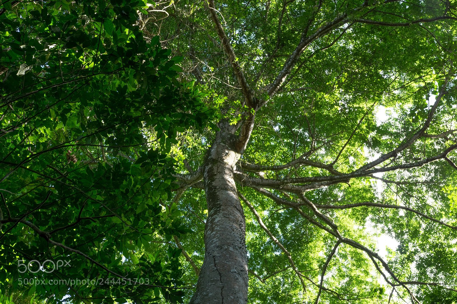 Pentax K-3 sample photo. Img photography