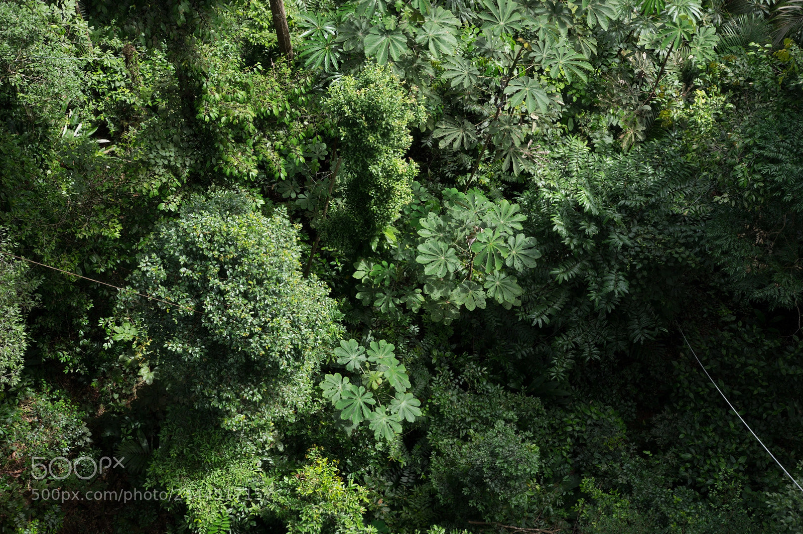 Pentax K-3 sample photo. Img photography