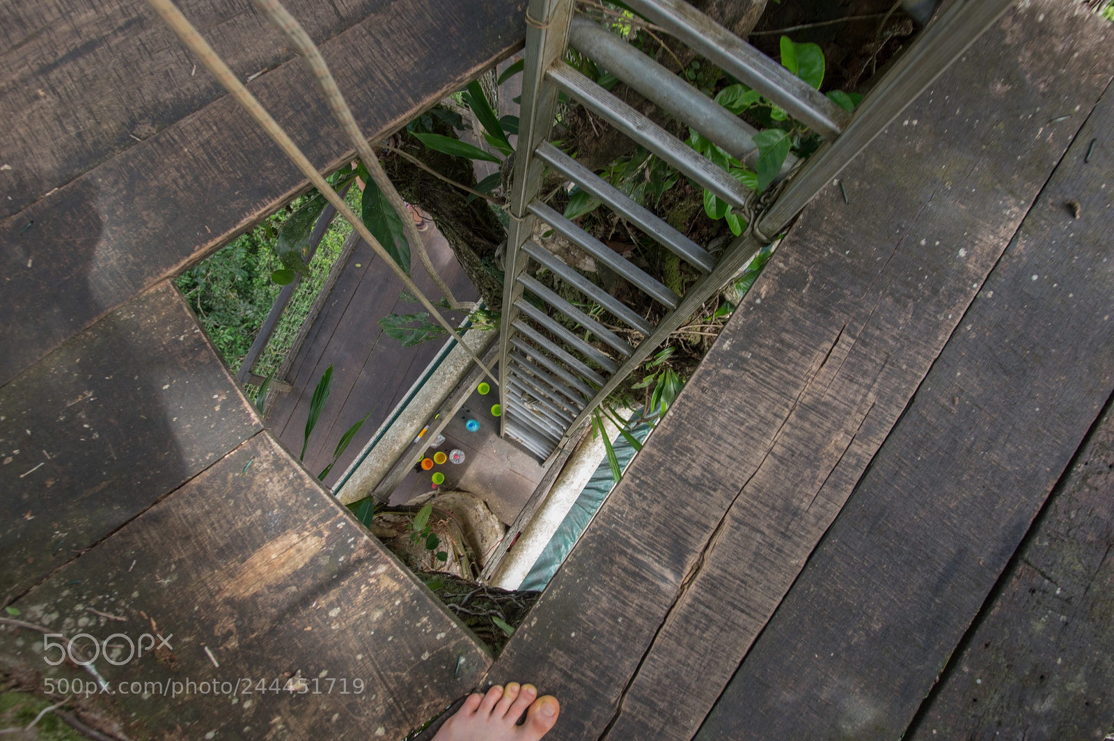Pentax K-3 sample photo. Img photography