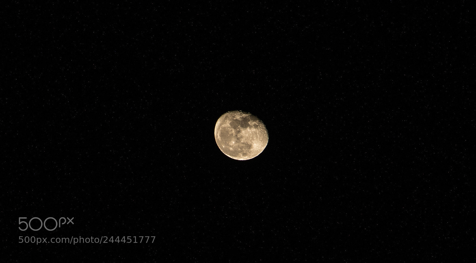 Pentax K-3 sample photo. _img9077-2.jpg photography