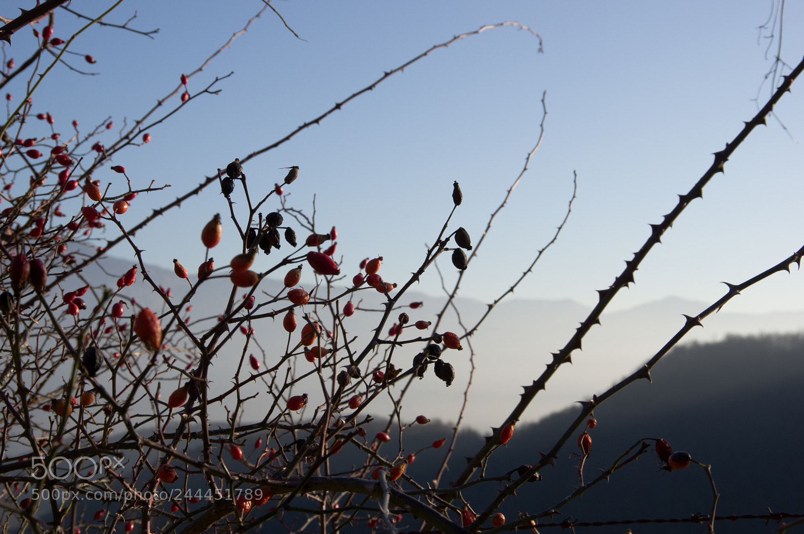 Pentax K-3 sample photo. Img photography