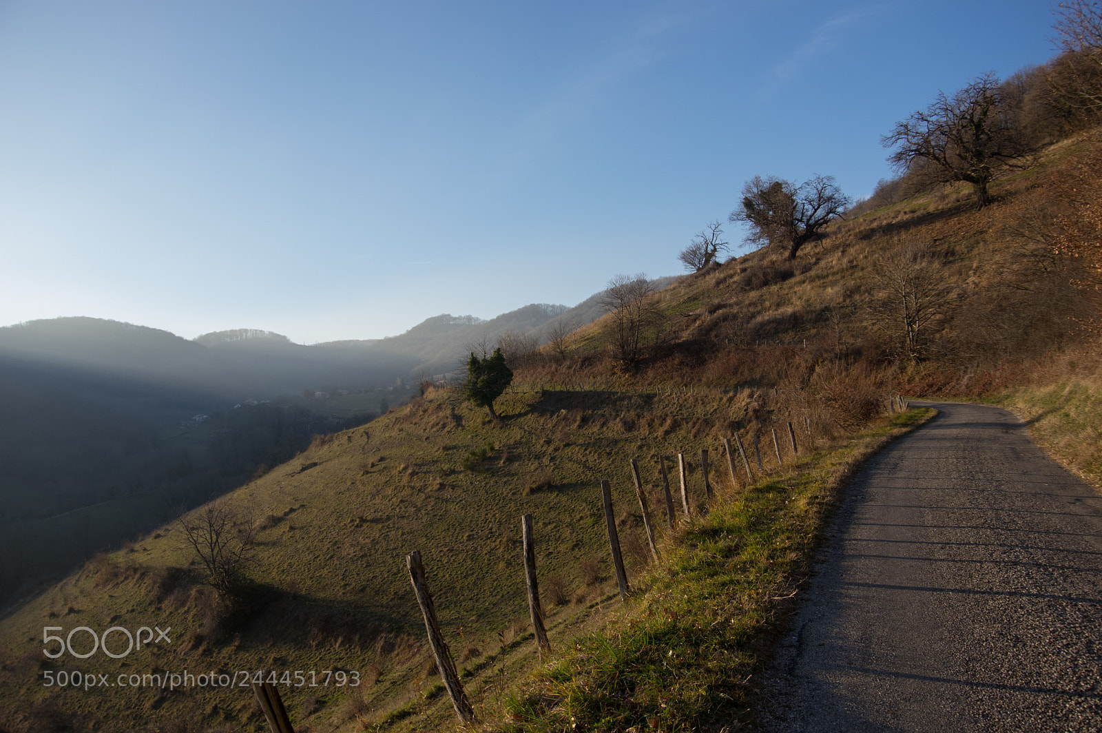 Pentax K-3 sample photo. Img photography