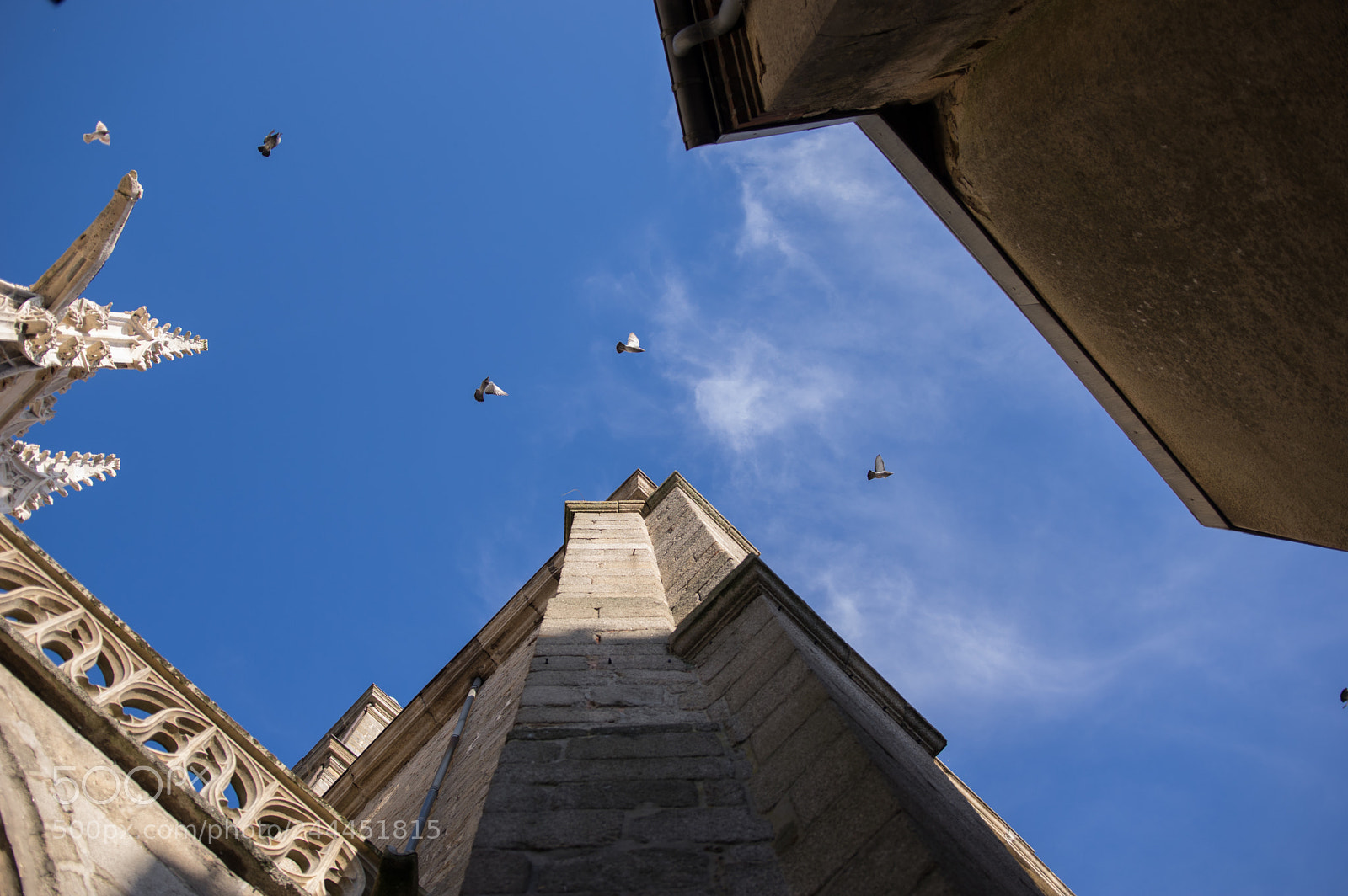 Pentax K-3 sample photo. Img photography